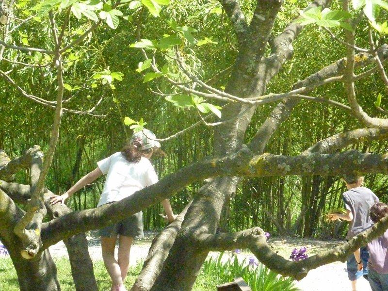 P1020856 [1600x1200].JPG